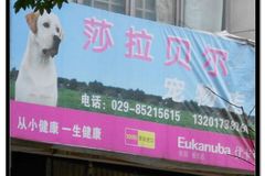 莎拉贝尔宠物店0