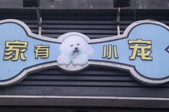 家有小宠0