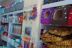 汪星球宠物店(汪星球宠物会所)1