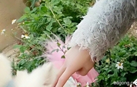 狗狗尾巴是粉红色的，眼睛有严重...