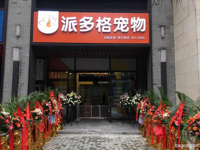 派多格宠物店 封面大图