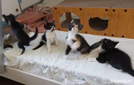 星辰大海55