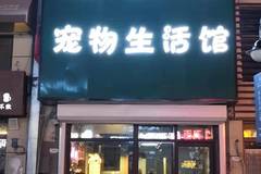 毛孩子宠物3