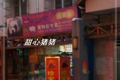 珍宝宠物美容店0