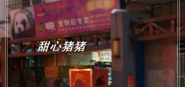 珍宝宠物美容店0