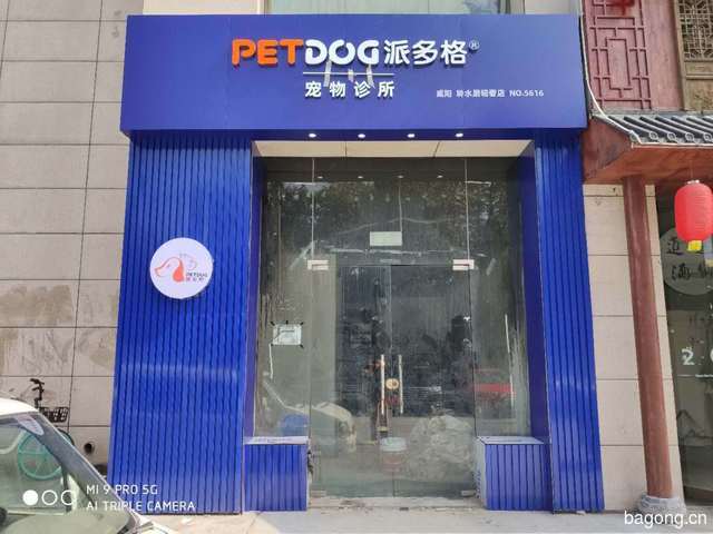 派多格轻奢店 封面大图