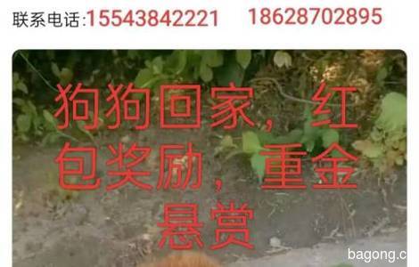 如图