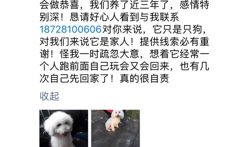 再次求助伟大的朋友圈，我养的另...