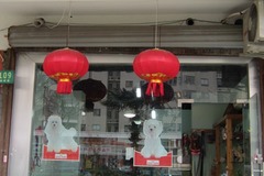 仔仔宠物店1