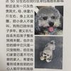 寻爱犬启示，本人于2018年9月8号...