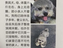 寻爱犬启示，本人于2018年9月8号...