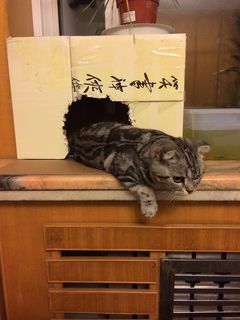 ：晚安~~