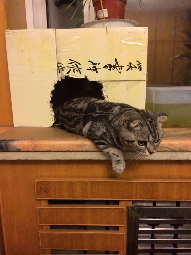 晚安~~