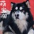萌宝阁宠物会馆