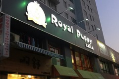 Royal Puppy 名萌汪族0