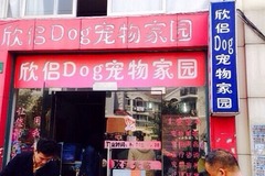 欣侣dog宠物家园0