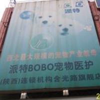 派特BOBO宠物医护 封面小图