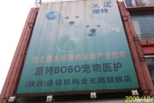 派特BOBO宠物医护 封面大图