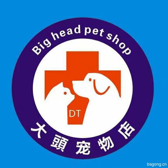 大头宠物店 封面大图