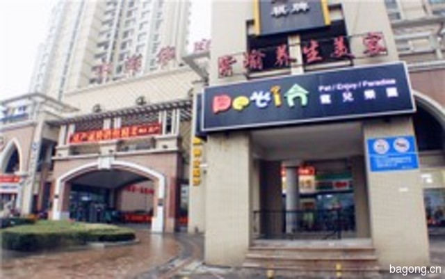 petin宠儿乐园 封面大图