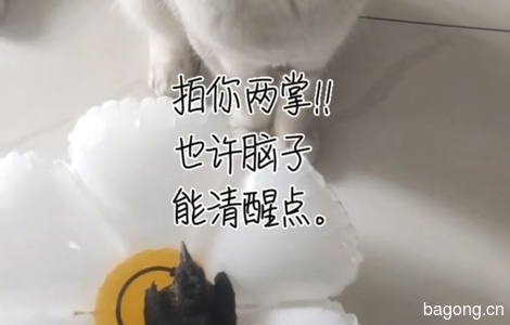 我家猫是银渐层公猫未绝育，双眼...