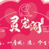 灵宠阁宠物乐园