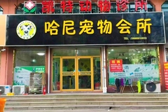 哈尼宠物0