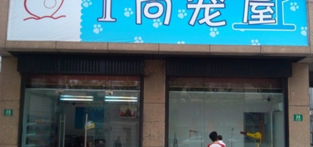 金桥I尚宠物0