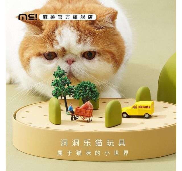 麻薯洞洞乐玩具猫玩具