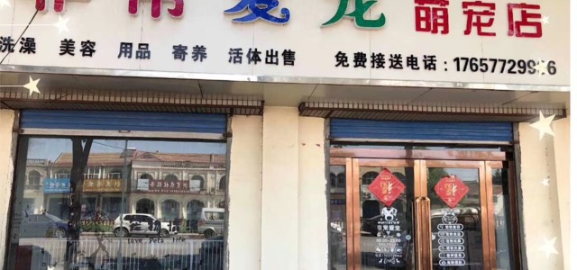 非常爱宠萌宠店0