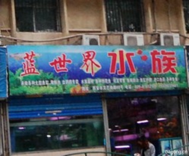 蓝世界水族 封面大图