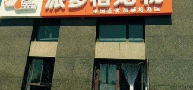 派多格宠物0