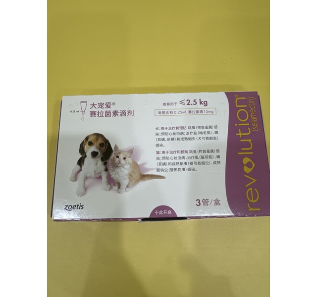 大宠爱犬用＜2.5