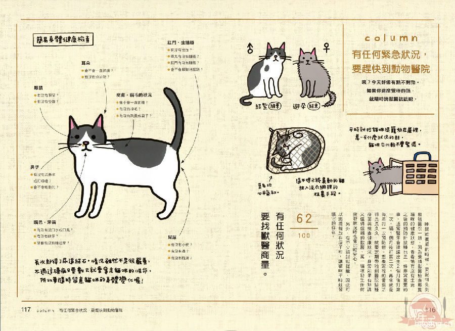 猫奴必懂的100 个喵喵秘密 61
