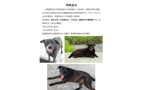 黑狗，地包天，下巴发白，身体后...