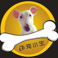 Ai宠小生 封面小图