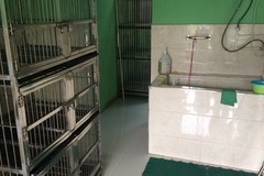 非常宠物美容服务部(非常宠物浐灞一号店)6
