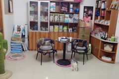 猫苑1