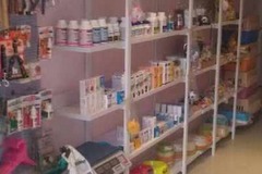关爱宠物店4