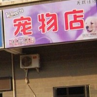 无忧汪汪宠物店 封面小图