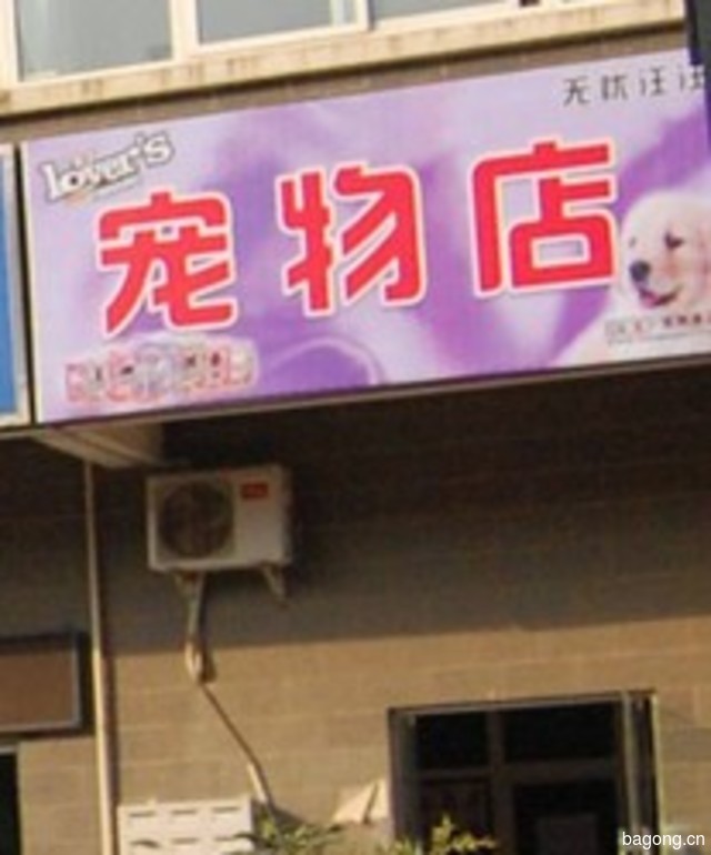 无忧汪汪宠物店 封面大图