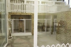 我和樱桃宠物店（枫林绿洲店）3