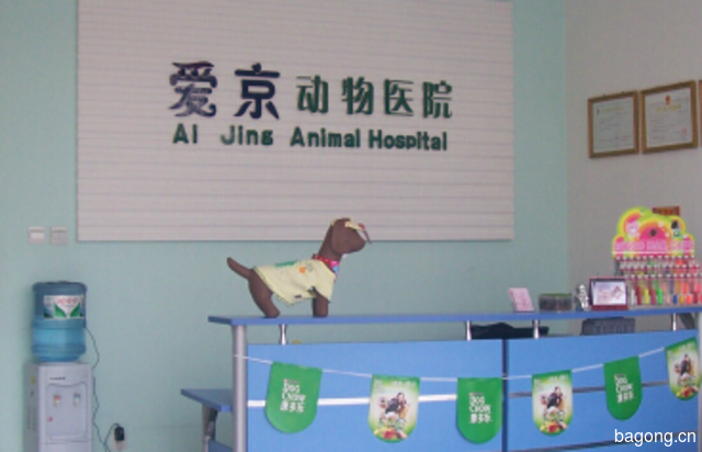 北京爱京动物医院 封面大图