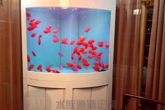 铼来水族馆3