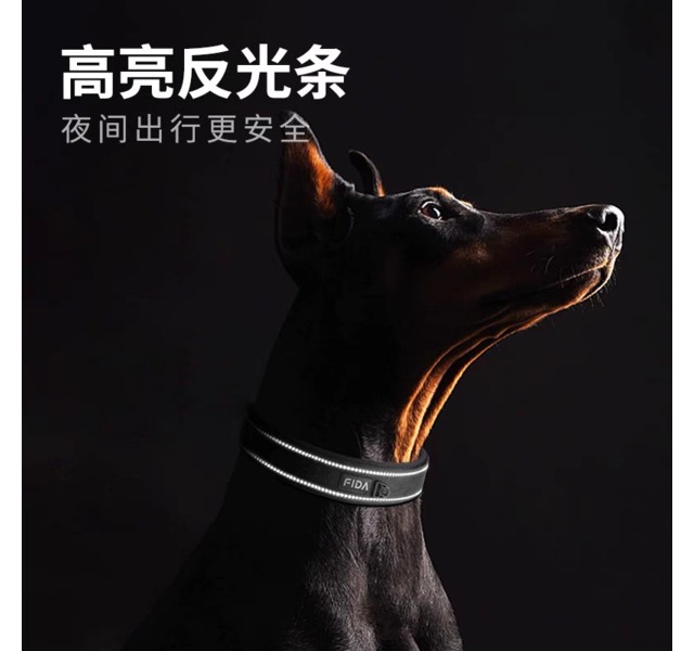 TwoEar-皮带扣项圈狗狗项圈大型犬反光脖圈劲圈中小型犬泰迪牵引绳金毛遛狗绳狗链子-蓝色S 2×28-37cm