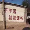 送养小猫
