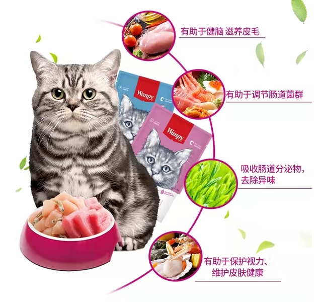 顽皮 猫用鲜封包 金枪鱼+小银鱼配方 80g