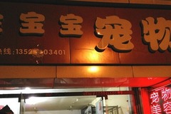 金宝宝宠物1