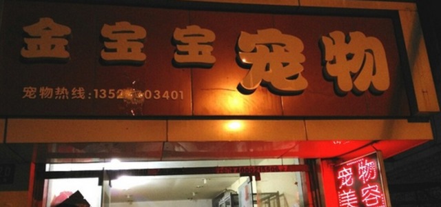 金宝宝宠物1