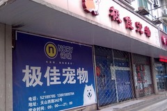 极佳宠物店0